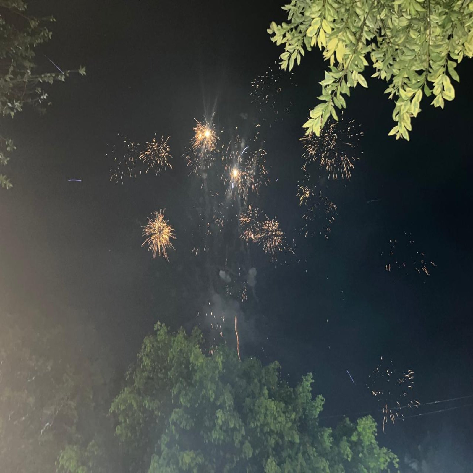 The High Commissioner of India to South Africa and Lesotho, His Excellency, Shri Prabhat Kumar along with the High Commission of India team WISH ALL THE MEMBERS OF INDIAN DIASPORA, FRIENDS OF INDIA, BROTHERS & SISTERS OF SOUTH AFRICA